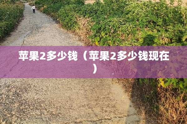 苹果2多少钱（苹果2多少钱现在）