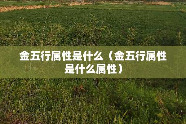 金五行属性是什么（金五行属性是什么属性）