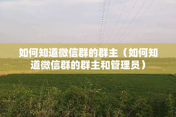 如何知道微信群的群主（如何知道微信群的群主和管理员）