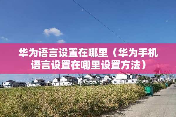 华为语言设置在哪里（华为手机语言设置在哪里设置方法）