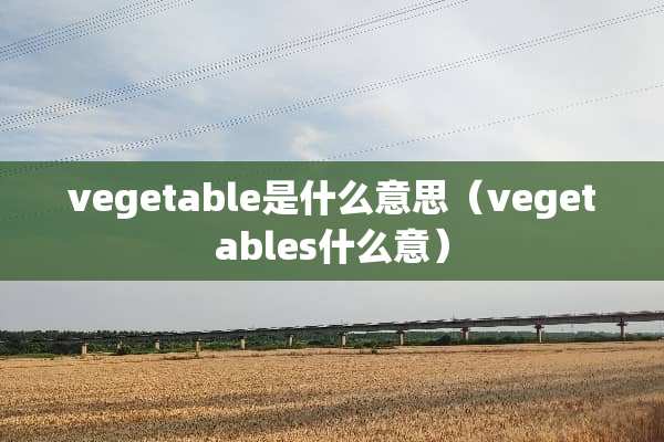 vegetable是什么意思（vegetables什么意）