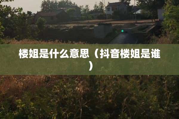 楼姐是什么意思（抖音楼姐是谁）