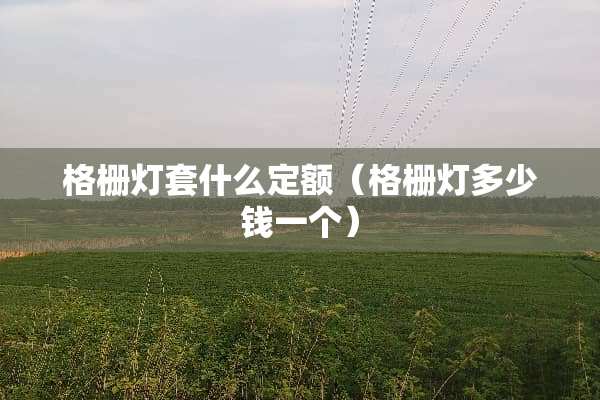 格栅灯套什么定额（格栅灯多少钱一个）