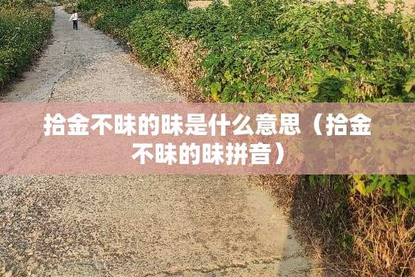 拾金不昧的昧是什么意思（拾金不昧的昧拼音）