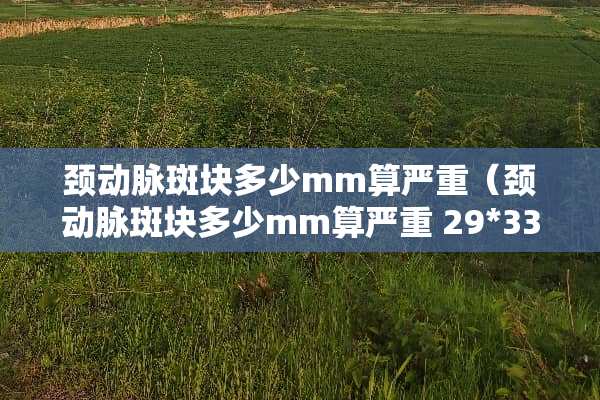 颈动脉斑块多少mm算严重（颈动脉斑块多少mm算严重 29*33）