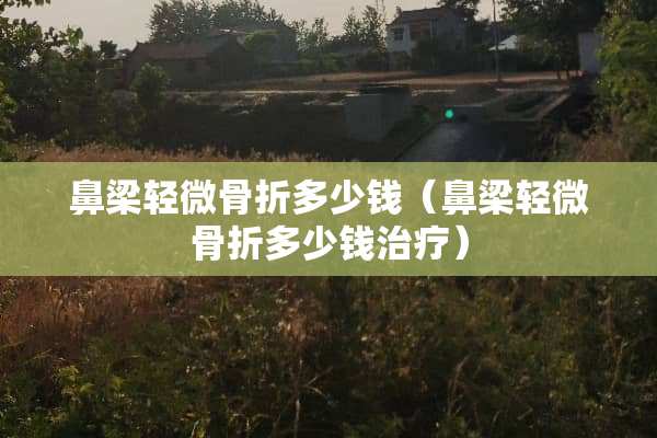 鼻梁轻微骨折多少钱（鼻梁轻微骨折多少钱治疗）