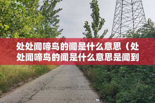 处处闻啼鸟的闻是什么意思（处处闻啼鸟的闻是什么意思是闻到还是听到）