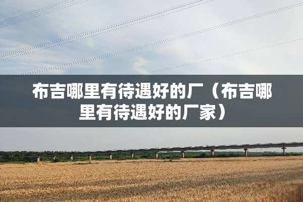 布吉哪里有待遇好的厂（布吉哪里有待遇好的厂家）