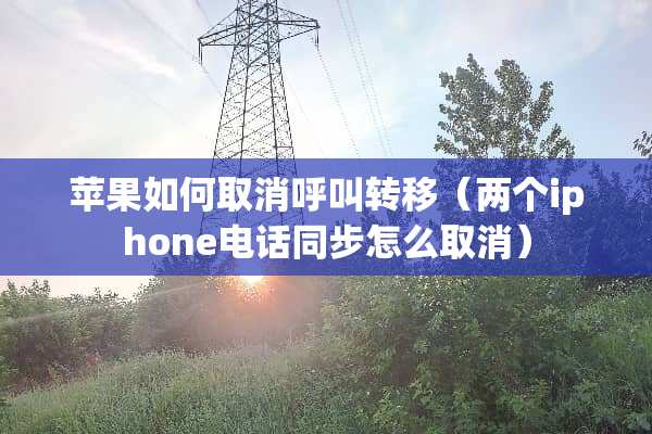苹果如何取消呼叫转移（两个iphone电话同步怎么取消）