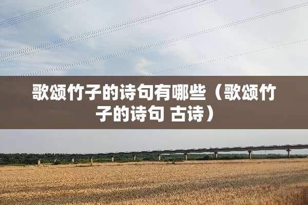 歌颂竹子的诗句有哪些（歌颂竹子的诗句 古诗）