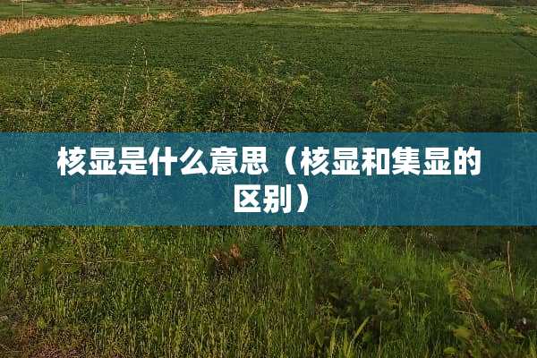 核显是什么意思（核显和集显的区别）