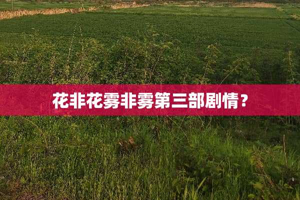 花非花雾非雾第三部剧情？