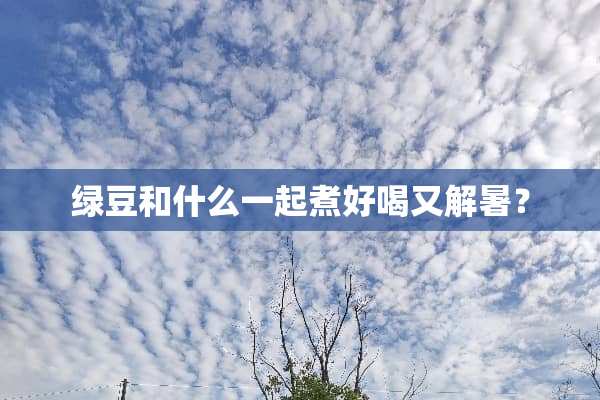 绿豆和什么一起煮好喝又解暑？