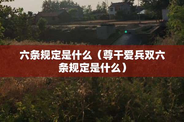 六条规定是什么（尊干爱兵双六条规定是什么）
