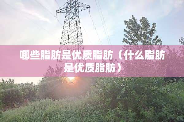 哪些脂肪是优质脂肪（什么脂肪是优质脂肪）