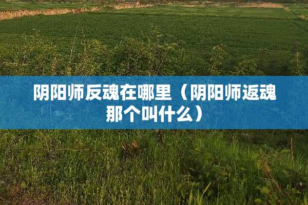 *阳师反魂在哪里（*阳师返魂那个叫什么）