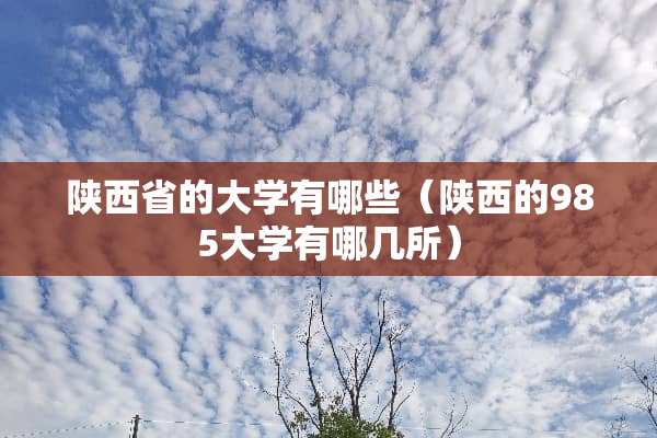陕西省的大学有哪些（陕西的985大学有哪几所）