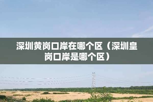 深圳黄岗口岸在哪个区（深圳皇岗口岸是哪个区）