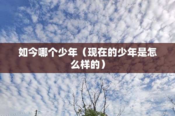 如今哪个少年（现在的少年是怎么样的）