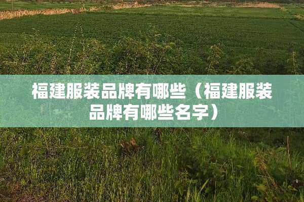 福建服装品牌有哪些（福建服装品牌有哪些名字）