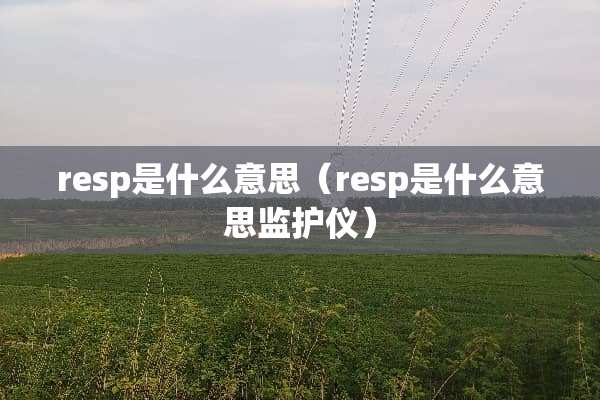 resp是什么意思（resp是什么意思监护仪）