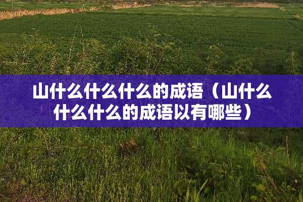 山什么什么什么的成语（山什么什么什么的成语以有哪些）