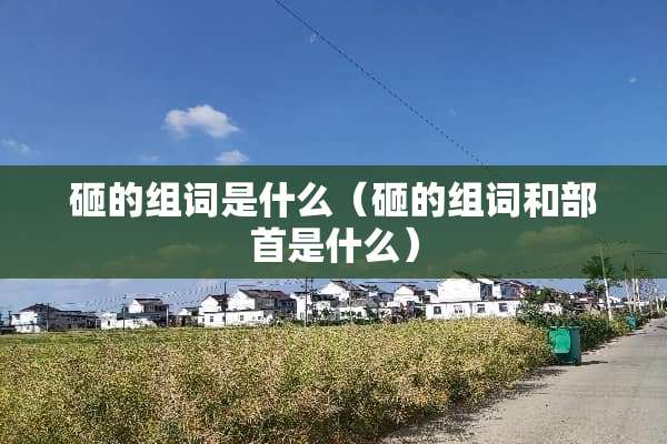 砸的组词是什么（砸的组词和部首是什么）