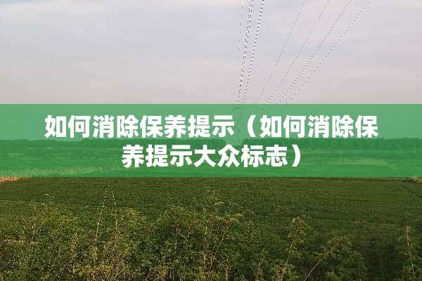 如何消除保养提示（如何消除保养提示大众标志）