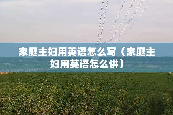 家庭主妇用英语怎么写（家庭主妇用英语怎么讲）