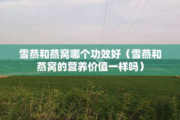 雪燕和燕窝哪个功效好（雪燕和燕窝的营养价值一样吗）