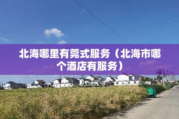 北海哪里有莞式服务（北海市哪个酒店有服务）