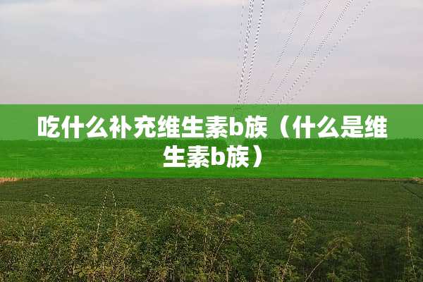 吃什么补充维生素b族（什么是维生素b族）