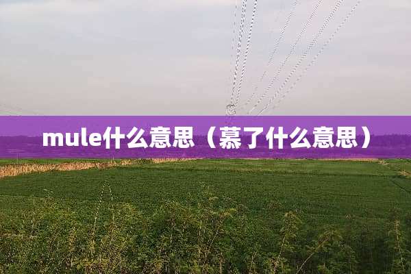 mule什么意思（慕了什么意思）