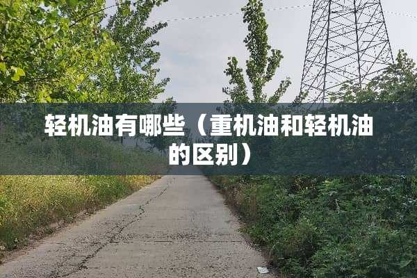 轻机油有哪些（重机油和轻机油的区别）