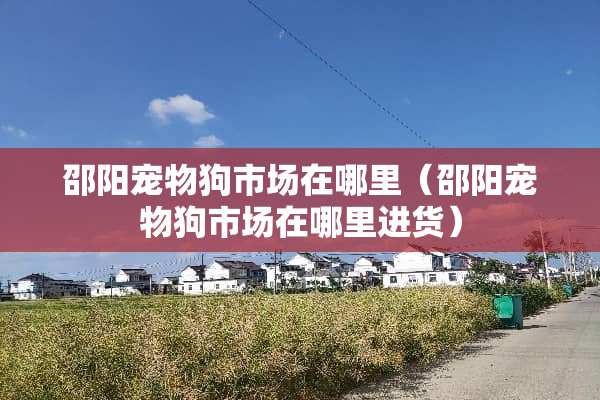邵阳宠物狗市场在哪里（邵阳宠物狗市场在哪里进货）