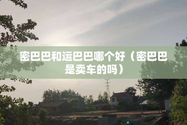 密巴巴和运巴巴哪个好（密巴巴是卖车的吗）