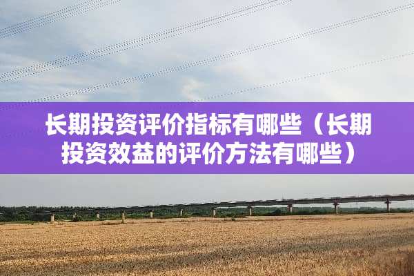 长期投资评价指标有哪些（长期投资效益的评价方法有哪些）