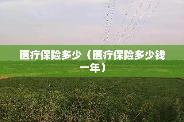 医疗保险多少（医疗保险多少钱一年）