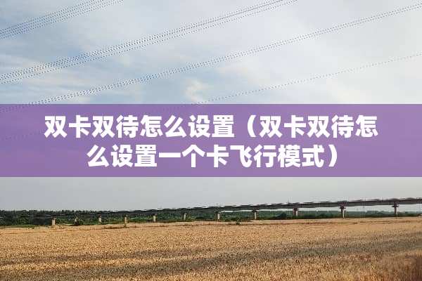 双卡双待怎么设置（双卡双待怎么设置一个卡飞行模式）