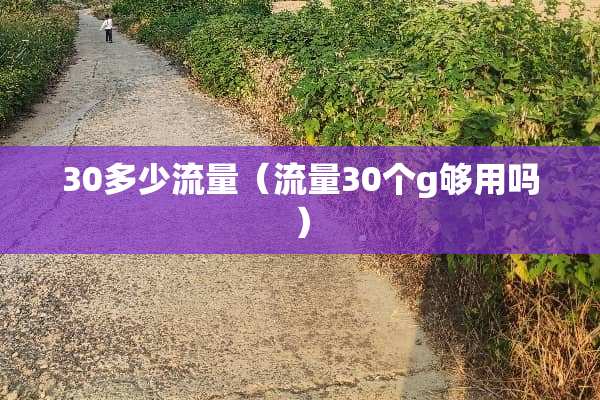 30多少流量（流量30个g够用吗）