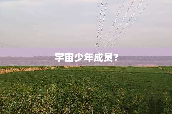 宇宙少年成员？