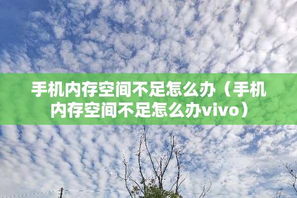 手机内存空间不足怎么办（手机内存空间不足怎么办vivo）