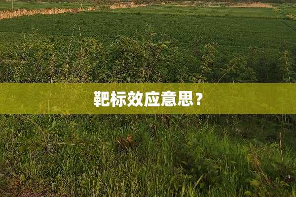 靶标效应意思？