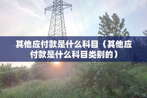 其他应付款是什么科目（其他应付款是什么科目类别的）