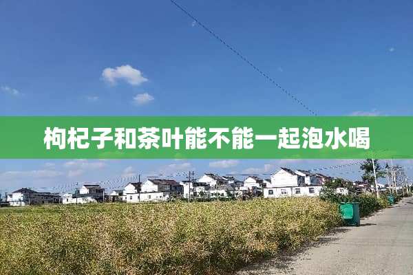 枸杞子和茶叶能不能一起泡水喝