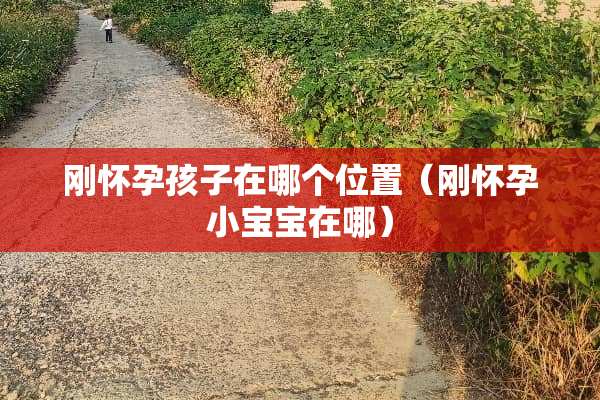 刚怀孕孩子在哪个位置（刚怀孕小宝宝在哪）