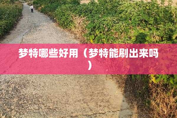 梦特哪些好用（梦特能刷出来吗）