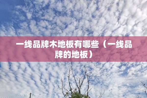 一线品牌木地板有哪些（一线品牌的地板）