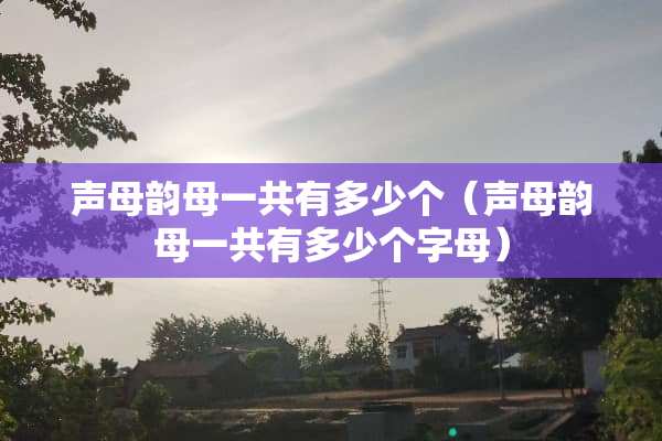 声母韵母一共有多少个（声母韵母一共有多少个字母）