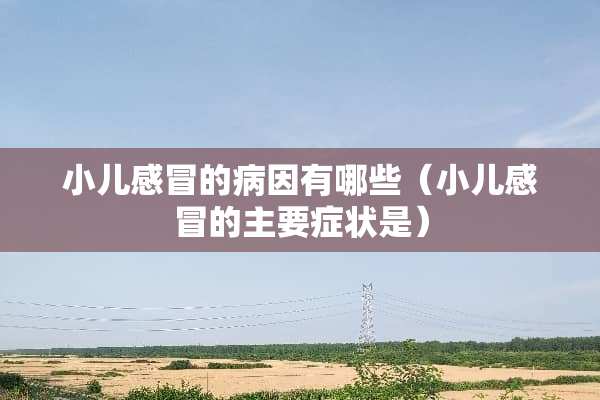 小儿感冒的病因有哪些（小儿感冒的主要症状是）